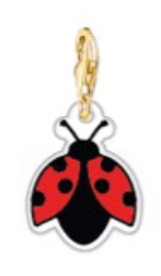 Charm joaninha