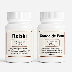 Kit Performance Mental - Reishi • Lion's Mane