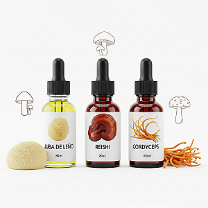 Kit Extratos de Cogumelos – Vitalidade, Clareza e Expansão da Consciência