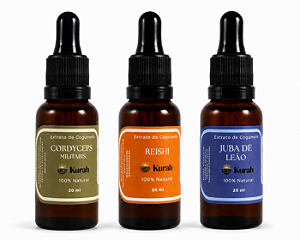 Kit Cogumelos Mestres - Cordyceps • Reishi • Lion's Mane