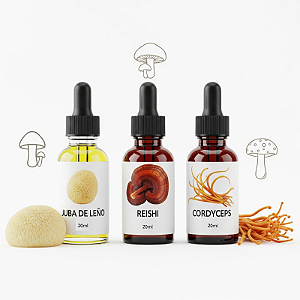 Kit Extratos de Cogumelos – Vitalidade, Clareza e Expansão da Consciência