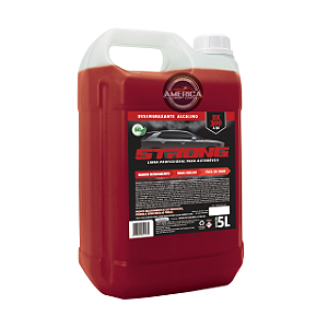 Alcalino DX 300 1/40 5L - Strong