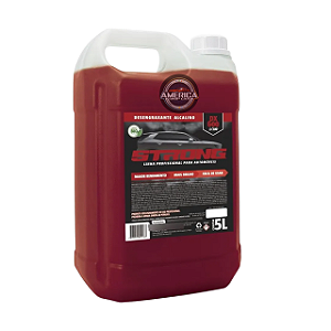 Alcalino DX 600 1/100 5L - Strong