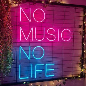Led Neon No Music No Life