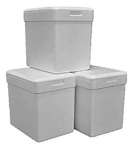 CAIXA TERMICA 050 LITROS ISOCAMP XXX
