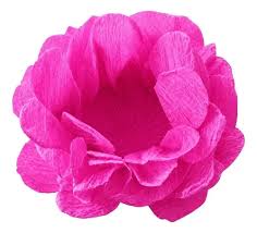 FORMINHA CREPOM COR: PINK