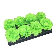 FORMINHA CREPOM COR: VERDE LIMAO