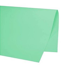 PAPEL CARTAO VERDE 48 X 66CM VMP