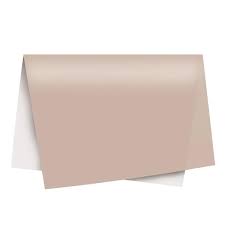 PAPEL SEDA CORES 49X69 C/3 UN