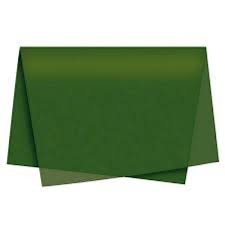 PAPEL SEDA VERDE BANDEIRA 49X69 C/3 UN