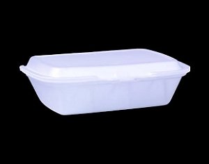 TH 101 HAMBURGUEIRA -  235X160X75 TOTALPLAST (ESTOJO)
