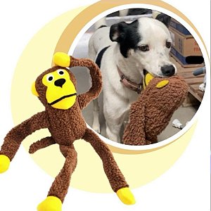 Brinquedo Macaco Pelúcia Grande Para Cachorro Pet Com Apito