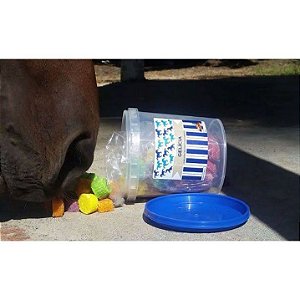 Gelicia Petisco Para Equinos Com Colágeno 1Kg