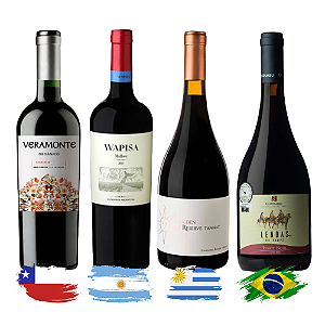 Kit Vinhos Tintos América do Sul - 4 Unidades