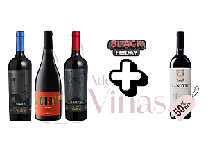 Kit Vinhos Tintos Gaúchos