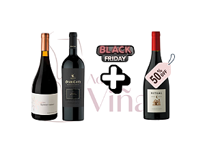 Kit Vinhos Tintos América do Sul