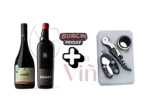 Kit Vinhos Tintos Gaúchos
