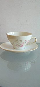 xícara de chá com pires em porcelana (antiguidade / raridade / relíquia / antiquário)