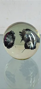 peso papel / bola murano (antiguidade / raridade / relíquia / antiquário)