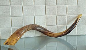 shofar judaico / israel / jerusalem (antiguidade / raridade / relíquia / antiquário)