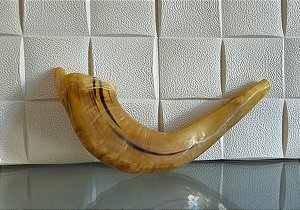 shofar judaico / israel / jerusalem (antiguidade / raridade / relíquia / antiquário)