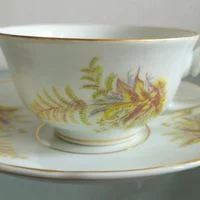 xícara de chá com pires em porcelana (antiguidade / raridade / relíquia / antiquário)