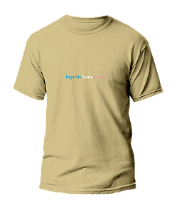 Espírito Santo Brasil - Camisa Estonada