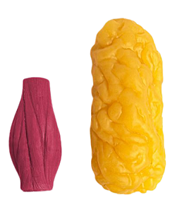 Réplica Realista De Músculo Corporal Humano 1kg