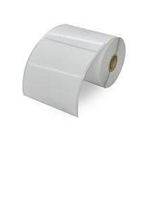 Kit de 10 Rolos de Etiqueta Adesiva Branca Térmica em rolo 100X 150 mm