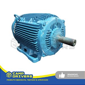 MOTOR W22 60 CV 225S/M 4P 220/380/440V 60Hz - SEMINOVO