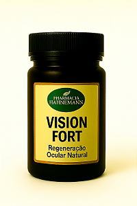 VISION FORT
