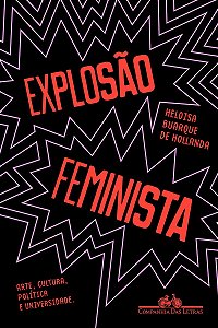 Explosão feminista: Arte, cultura, política e universidade