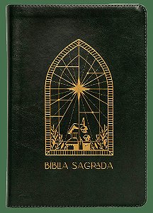 Bíblia A21 The Purpose Book, Letra tradicional, com espaço para anotação, Capa luxo Verde