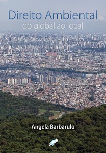 Direito ambiental: do global ao local