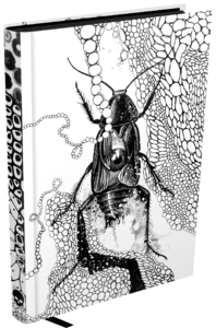 A Metamorfose