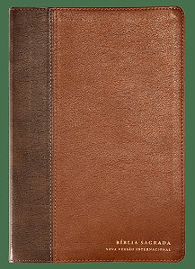 Bíblia NVI, Letra grande, Fonte Leitura Perfeita, com espaço para anotações, Capa luxo Marrom em dois tons
