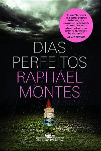 Dias perfeitos: O livro que deu origem à série original Globoplay