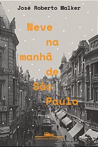 Neve na manhã de São Paulo