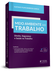 Meio Ambiente do Trabalho - Direito, Segurança e Saúde no Trabalho (2021)