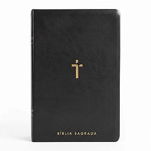 BIBLIA SAGRADA MAPAS MENTAIS NAA LETRA GIGANTE PRETO