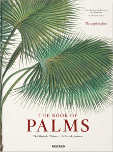 The book of palms