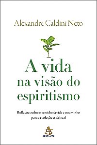 A vida na visão do espiritismo: Reflexões sobre o sentido da vida e o caminho para a evolução espiritual