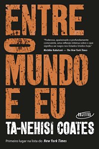Entre o mundo e eu