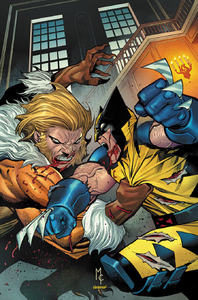 Wolverine (2025) 11