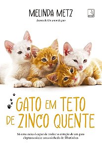 Gato em teto de zinco quente