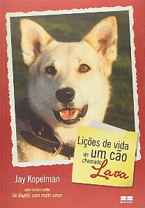 Lições de vida de um cão chamado Lava
