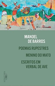 Poemas rupestres, Menino do Mato e Escritos em verbal de ave