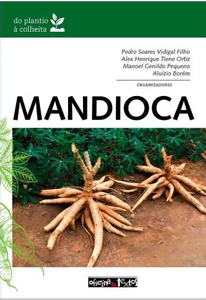 Mandioca do plantio à colheita