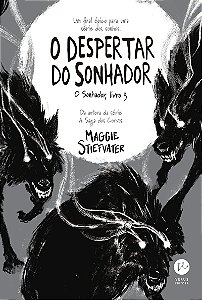 O despertar do sonhador (Vol. 3 O Sonhador)