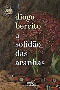 A solidão das aranhas